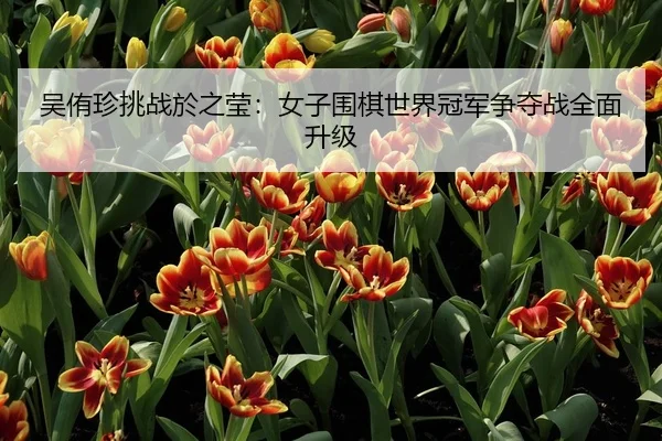 吴侑珍挑战於之莹：女子围棋世界冠军争夺战全面升级