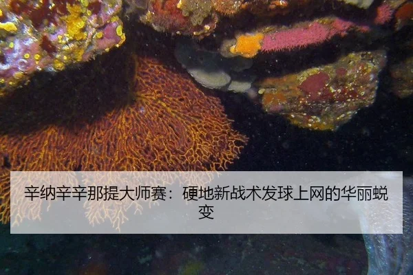 xin-na-xin-xin-na-ti-da-shi-sai-ying-di-xin-zhan-shu-fa-qiu-shang-wang-de-hua-li-tui-bian-2-580.jpg