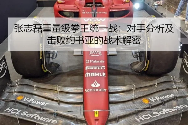 张志磊重量级拳王统一战：对手分析及击败约书亚的战术解密