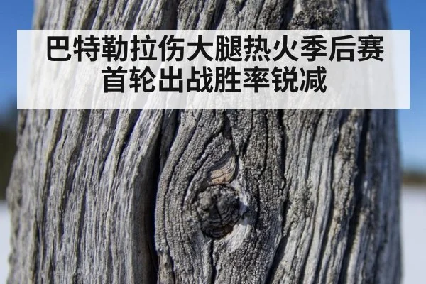 巴特勒拉伤大腿热火季后赛首轮出战胜率锐减